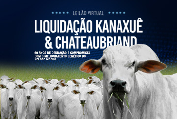 LEILÃO VIRTUAL LIQUIDAÇÃO KANAXUÊ & CHATEAUBRIAND